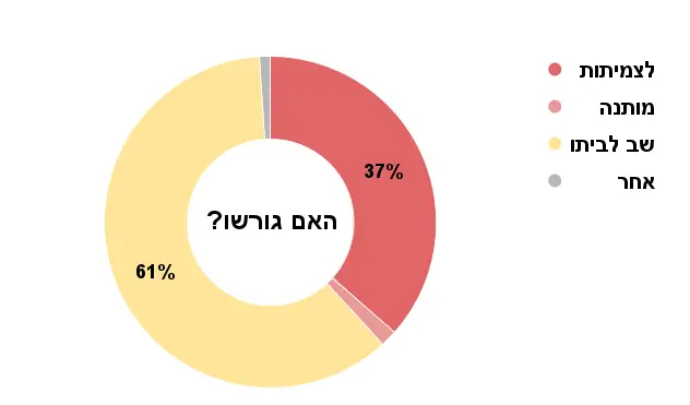 עוגת האם גורשו 2