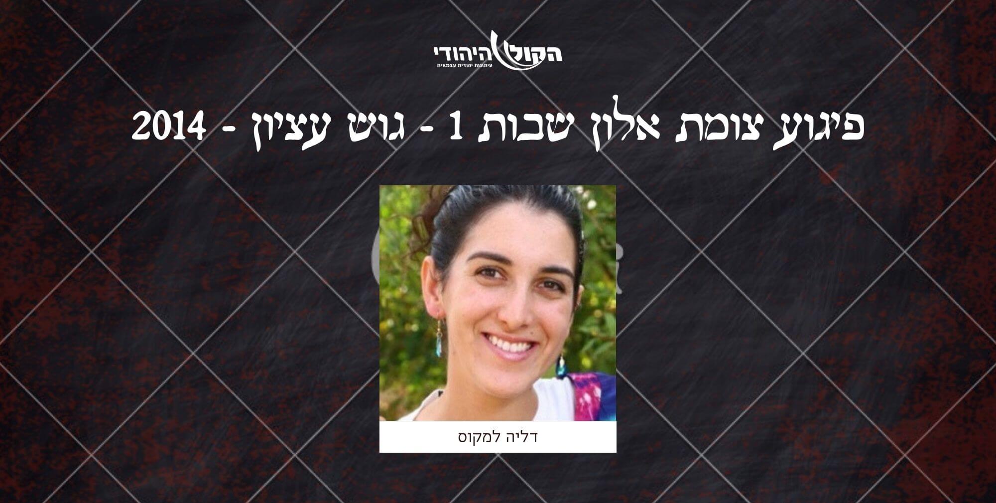 צומת אלון שבות 1 - גוש עציון - 2014